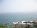 IMG_2982.jpg