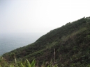 IMG_2990.jpg