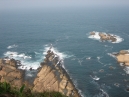 IMG_2994.jpg