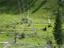 IMG_1939.jpg