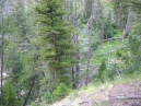 IMG_1962.jpg