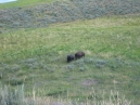 IMG_2315.jpg