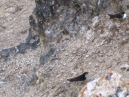 IMG_2351.jpg